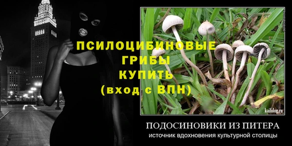 стафф Баксан