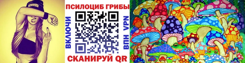 где купить наркоту  shop какой сайт  Псилоцибиновые грибы MAGIC MUSHROOMS  Петровск-Забайкальский  omg зеркало 
